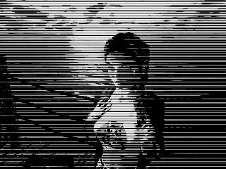 Rachel Raspberry Moira